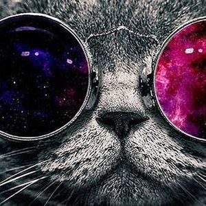 Meet your Posher, Jen